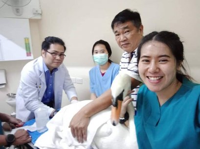 เคส หงส์ อายุ 8 เดือน ติดเชื้อแต่บริเวณก้อน